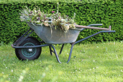 Jardinier paysagiste à Couëron